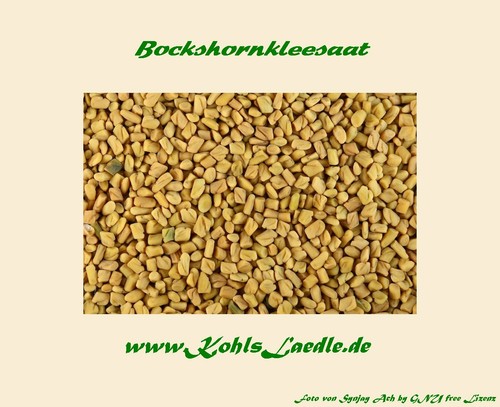 Bockshornklee saat gemahlen - bockshornklee,,