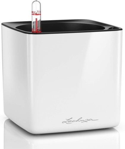 Lechuza cube glossy - lechuza,