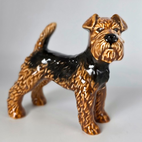 Goebel airedale terrier - airedale,
