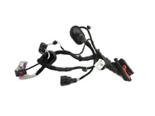 Kabelbaum für Tür und