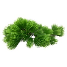 Aqua Della Eleocharis Grün