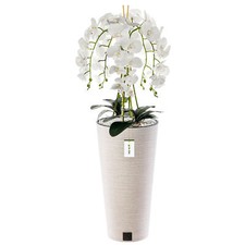 Künstliche Orchidee Kaskaden