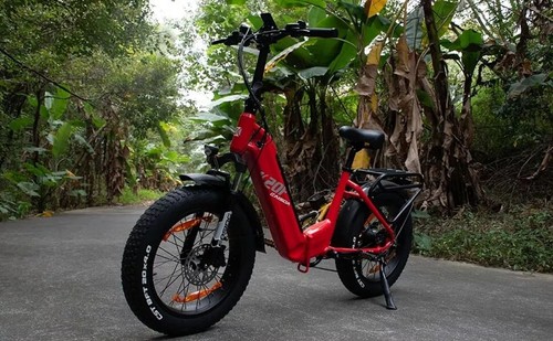 Bike zoll 900wh city - bike,