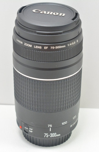 Canon 300m 5 6 iii - ef,