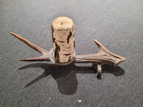 Jagdtrophäe kerzenständer - jagdtrophäe,