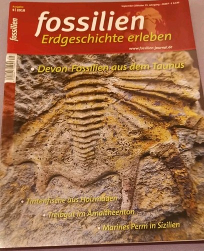 Fossilien 2018 taunus devon - 5,