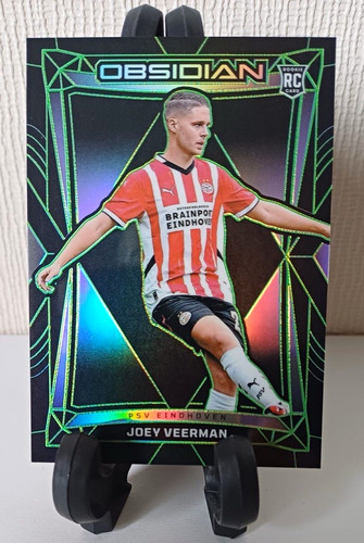 Panini obsidian 2024 - panini, 2024-25