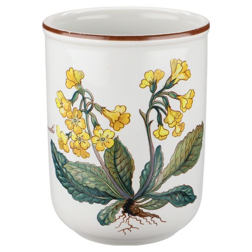 Saftbecher primula officinalis - saftbecher,
