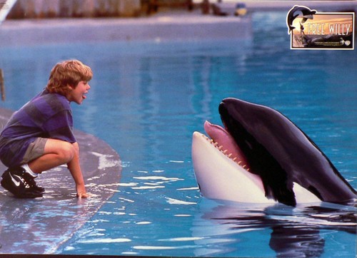 Free willy aushangfoto - aushangfoto, a3