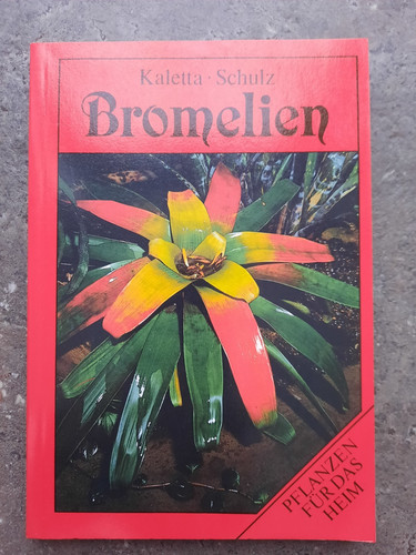 Bromelien kaletta schulz - bromelien,