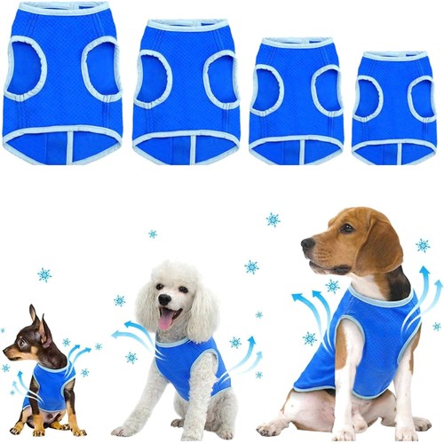 Kühlweste hund sommer - kühlweste,