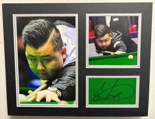 Profi snooker spieler - snooker,