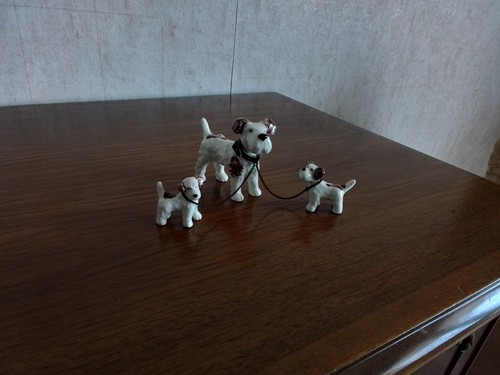 Terrier hundemutter mit - terrier,