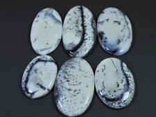 6 Stck. Natürlicher Dendrit