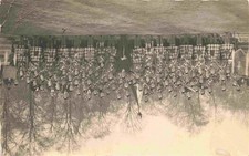 Schottenrock Kilt Falda Escocesa Gonna Scozzese-- Gruppenfotto 