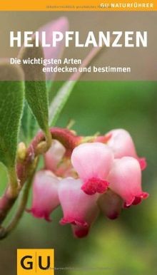 Heilpflanzen die wichtigsten - heilpflanzen:,