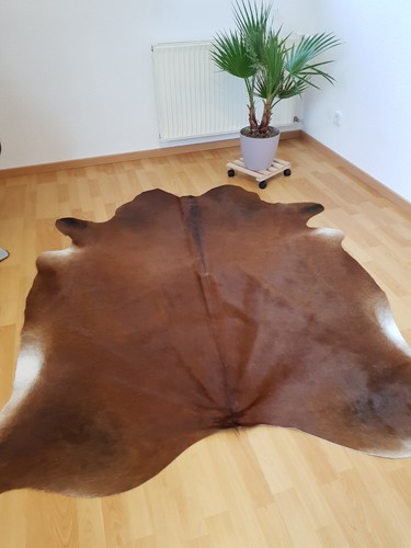 Grosses 100 echtes - 100%,