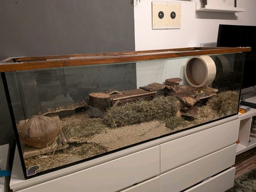 Großes glasterrarium becken - großes, glasterrarium/becken