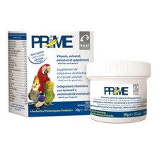 Hari Prime  Vogel Papagei