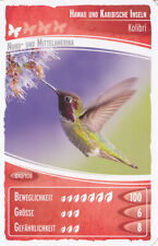 Netto     Ozeanien 2        "