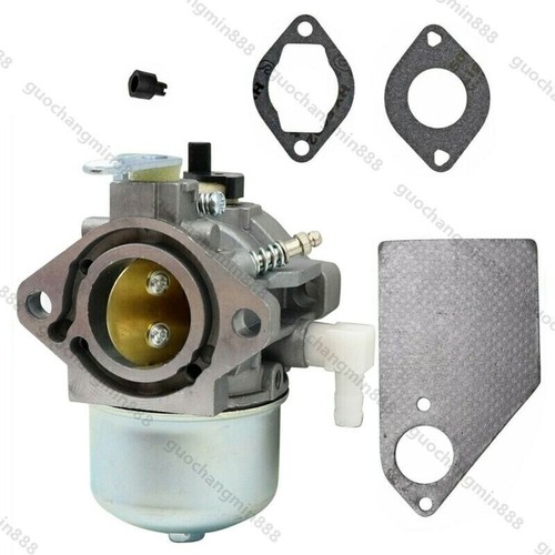 Vergaser kit ps lmt - vergaser,