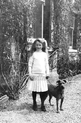 Qaa junges mädchen mit - junges,