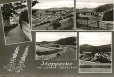 Hoppecke 
