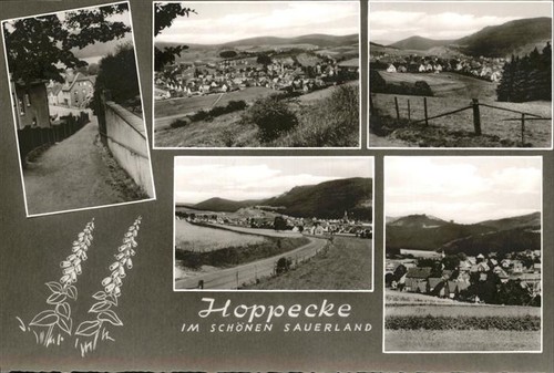 Hoppecke - ,