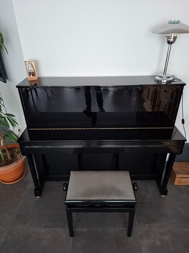 Klavier 120 euterpe schwarz - klavier, in
