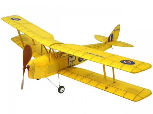 Pichler tiger moth - moth, /