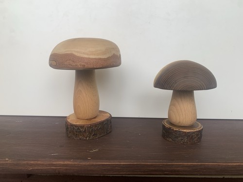 Herbstdeko 2er set - set, holzpilze