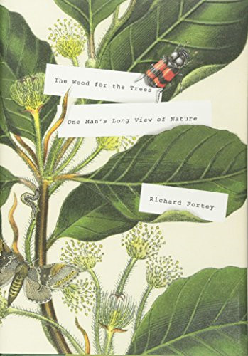 The wood for trees - trees:, one