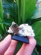 Top Alpiner Rauchquarz