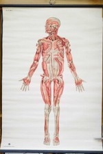 G013/Alte Schulkarte DDR