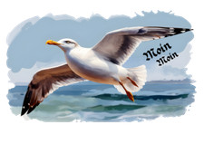 Möwe fliegend Maritim Autoaufkleber/ Wandtattoo Wetterfest-UV Beständig-Reisen