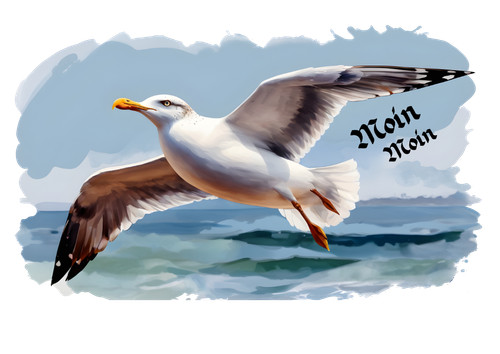 Möwe fliegend maritim - fliegend,