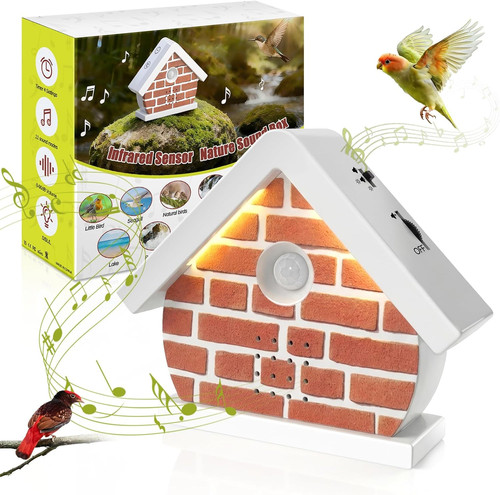 Vogelgezwitscher