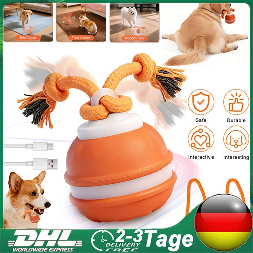 Interaktiver hundespielzeug - interaktiver,