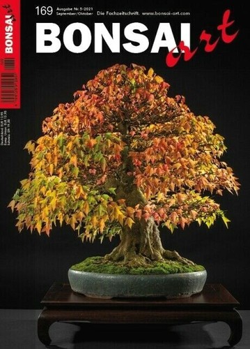 Neue bonsai art 169 - neue, nr.