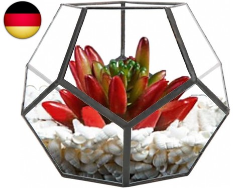 Geometrisches terrarium - geometrisches,