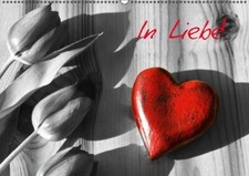 In Liebe! (Wandkalender immerwährend DIN A2 quer) | Buch | 9783660525229