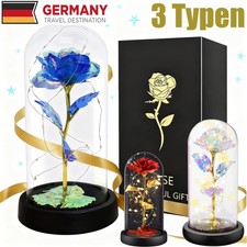 Ewige Rose Blume LED