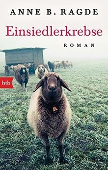 Einsiedlerkrebse von ragde - ,
