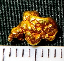 XXL GOLDNUGGET 7,7 mm Goldnuggets Nugget Barren Gold Nuggets Münze + Zertifikat!