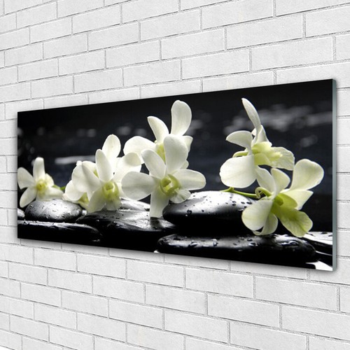 Acrylglasbilder wandbilder - acrylglasbilder,