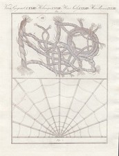 Stoff material Spitze lace spider web Spinnennetz Netz Mikroskop Bertuch 1807
