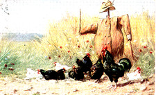 AK   -1917- Vogelscheuche - Hahn + Hühner vorm Hof - Verlag: Serie 223