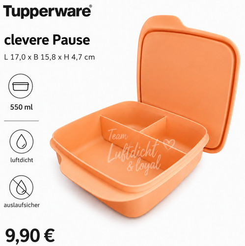 Tupperware eco pausen - eco+, 550