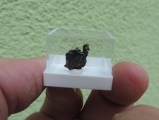 Meteorit - Sikhote Alin aus