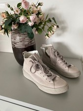 Paul green hightop - green, gr